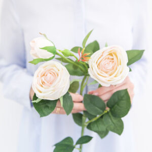 Seidenblume Peony Rose in der Farbe beige mit rosa Kanten