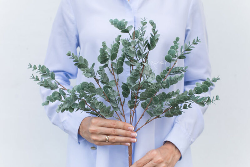 Künstlicher Eukalyptus